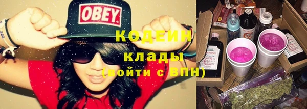 гашик Осинники