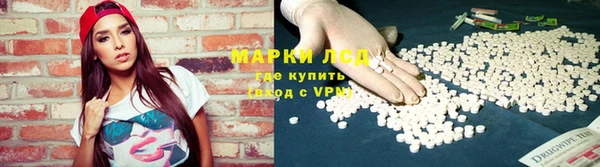 гашик Осинники