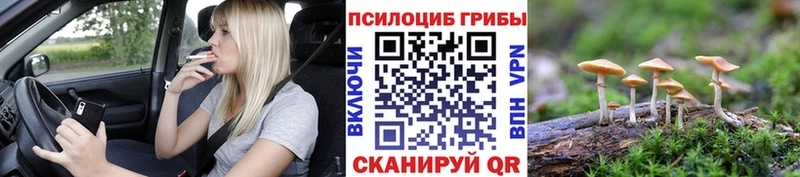 наркота  Малоархангельск  Псилоцибиновые грибы ЛСД 